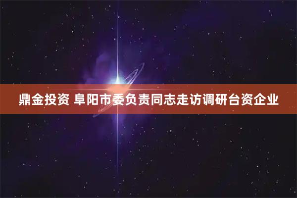 鼎金投资 阜阳市委负责同志走访调研台资企业