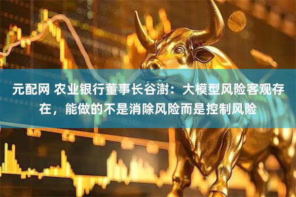 元配网 农业银行董事长谷澍：大模型风险客观存在，能做的不是消除风险而是控制风险