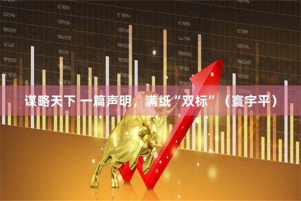 谋略天下 一篇声明，满纸“双标”（寰宇平）