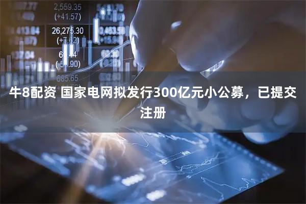牛8配资 国家电网拟发行300亿元小公募，已提交注册