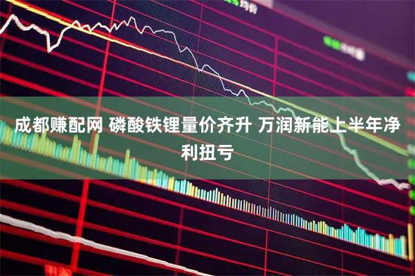 成都赚配网 磷酸铁锂量价齐升 万润新能上半年净利扭亏
